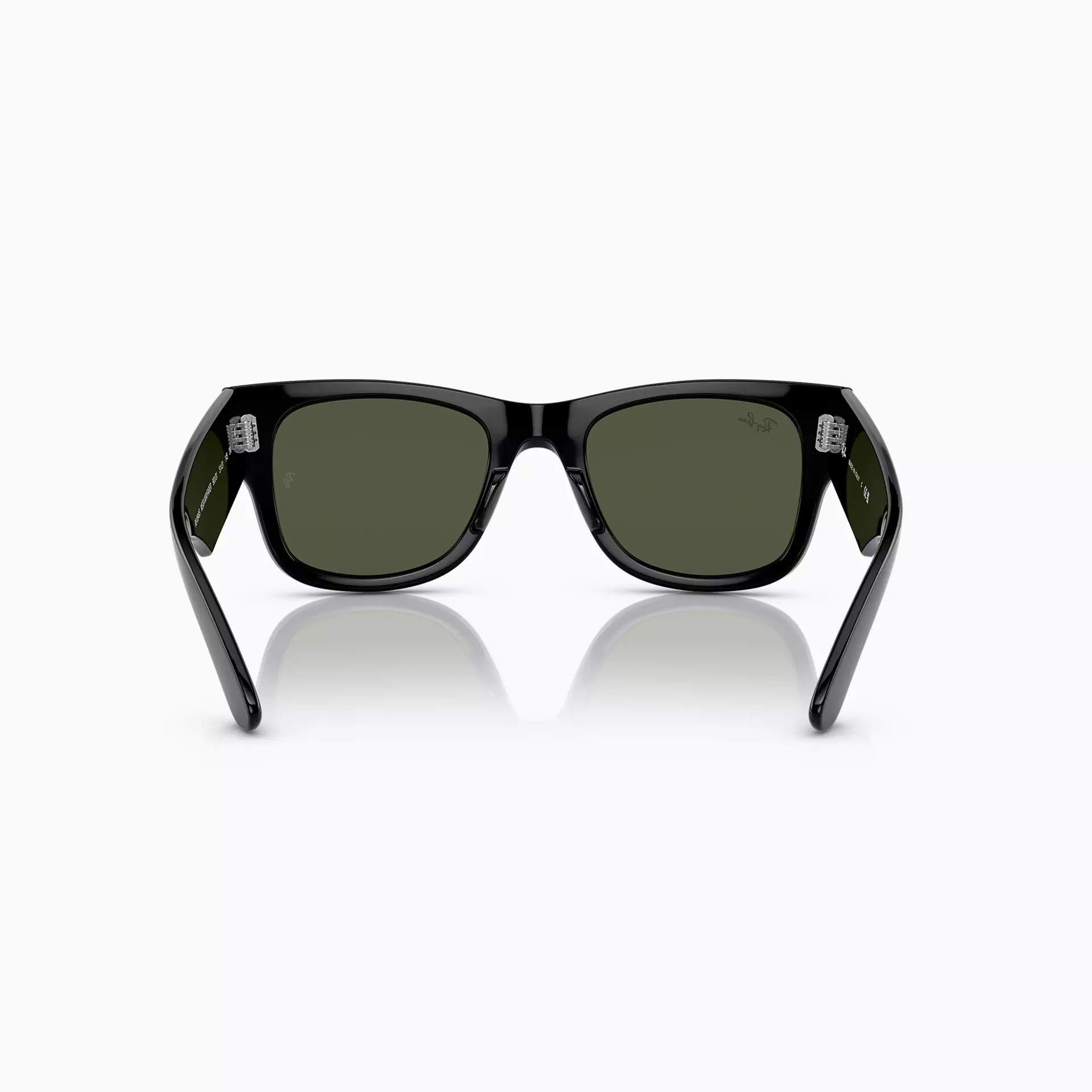 RB0840 Black Erkek Gözlüğü-2431