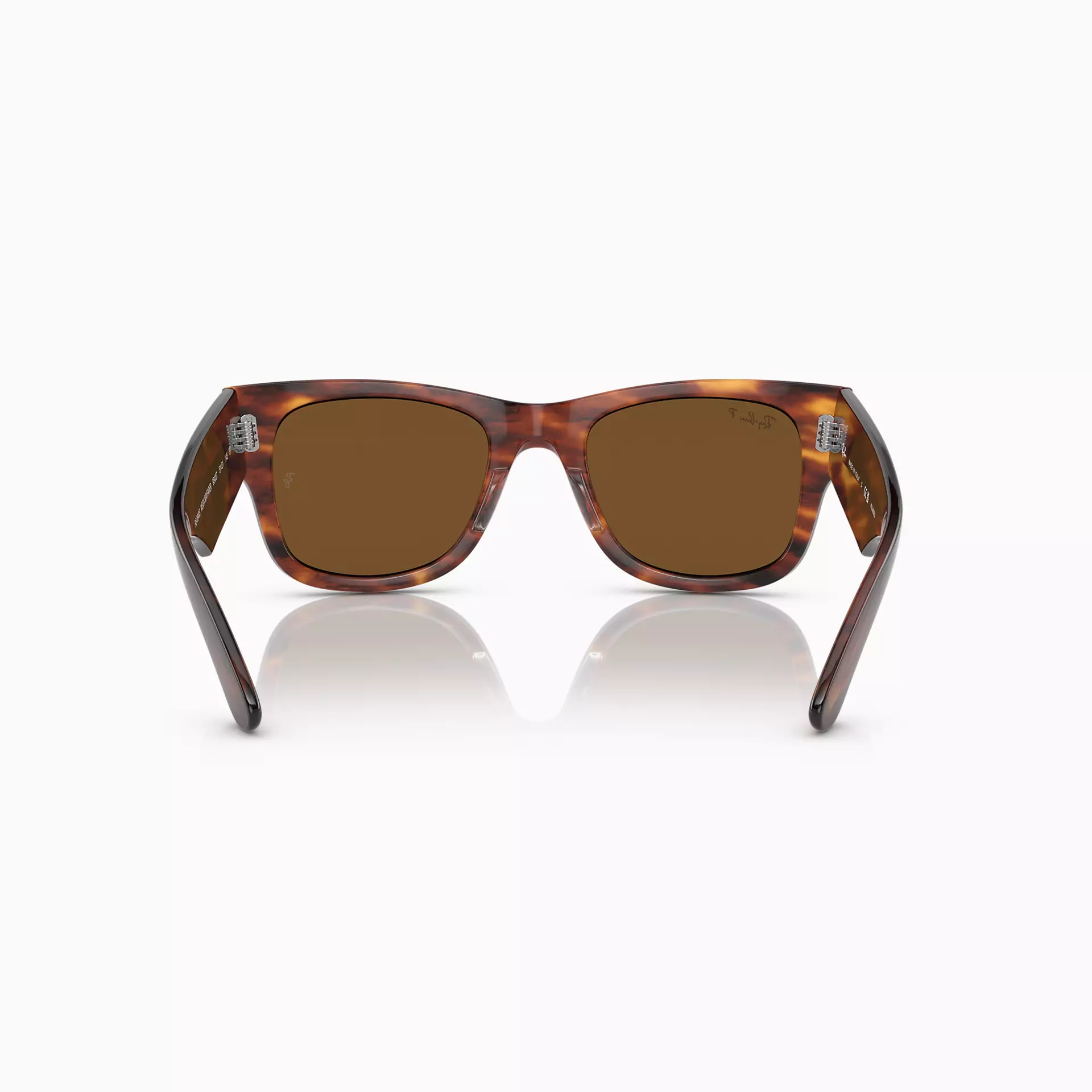 RB0840 Striped Havana Erkek Gözlüğü-9482